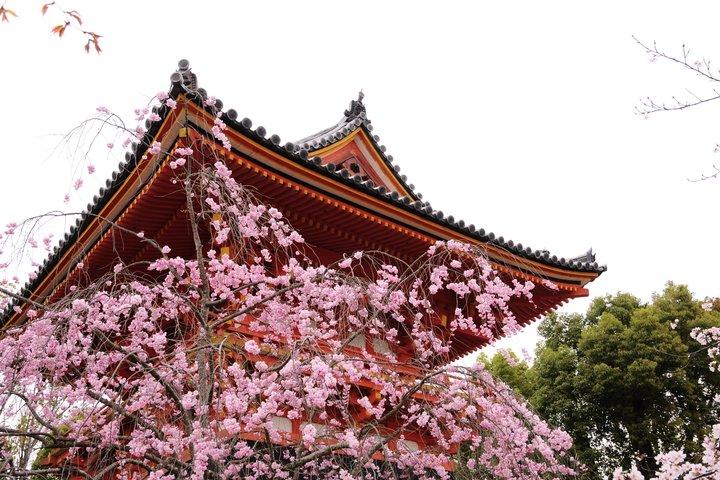 Kyoto: Kinkaku-ji Temple & Serene Garden Guided Tour with Tickets