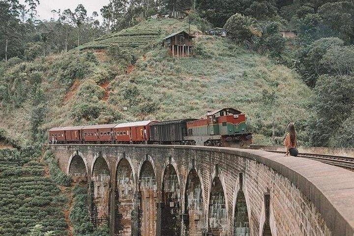 Day Tour at Sri Lanka Elephant Transit , Train Ride and Nine arch