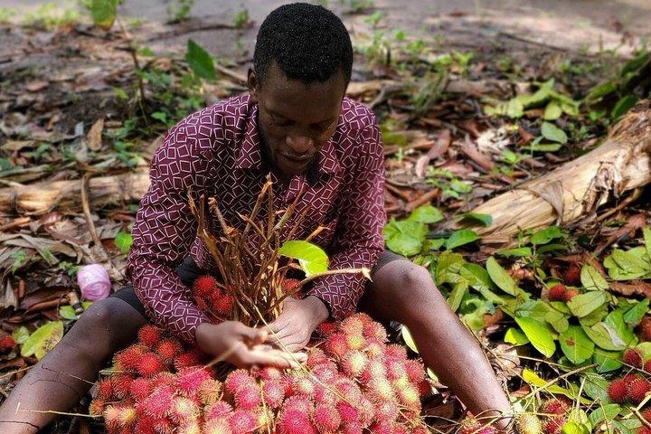 Zanzibar: Jozani Red colobus monkeys and Spice Farm with Lunch