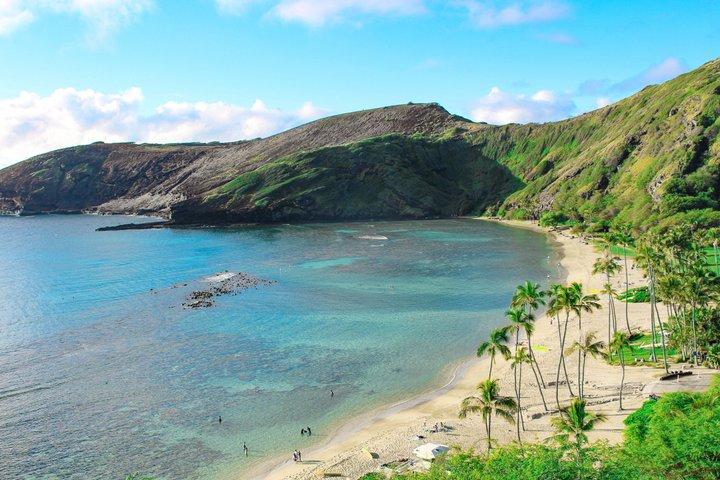 Ultimate Oahu Circle Island Sights & Bites Tour from Waikiki