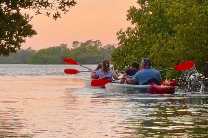 Clear Kayak Morning Tour in Anna Maria Island