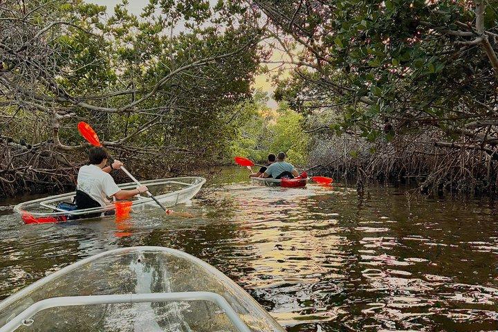 Clear Kayak Morning Tour in Anna Maria Island