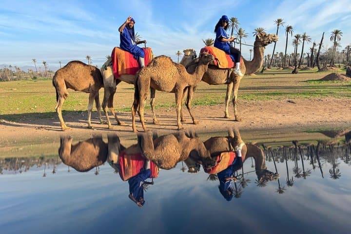 Camel Ride in Marrakech with Hotel-Pick up and Drop-off Included