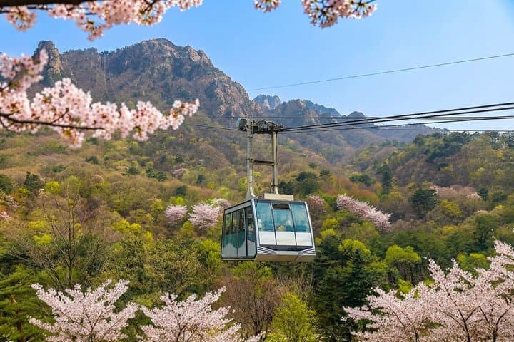 Full-Day Tour in Mt. Seorak & Nami (+Rail Bike Option)