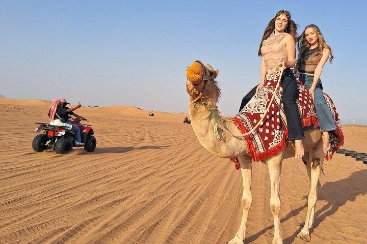 Dubai Desert Safari Camel Ride Dune Bashing BBQ Dinner & Shows