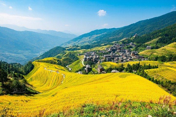 Longji Rice Terraces Group Tour Long Hair Village Guilin Pickup