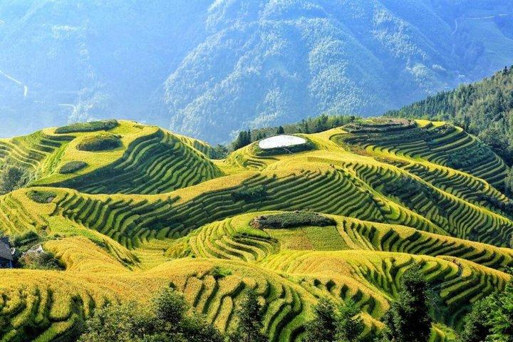 Longji Rice Terraces Group Tour Long Hair Village Guilin Pickup
