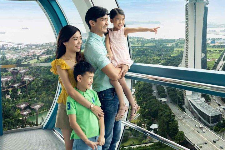 Singapore Flyer Admission Tickets