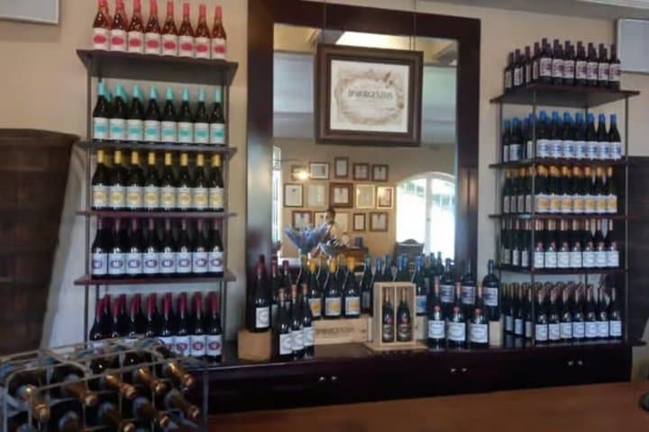 Half-Day Wine Tasting Tour in Stellenbosch