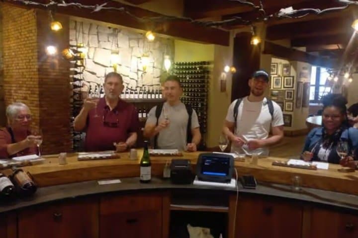 Half-Day Wine Tasting Tour in Stellenbosch
