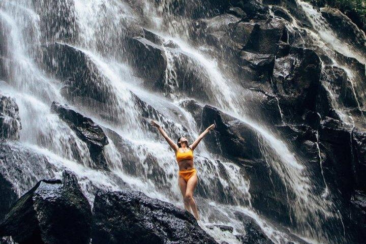 Ubud Waterfalls, Rice Terrace and Water Temple Tour