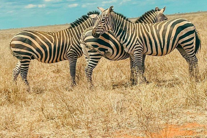 Tsavo East Big Five Safari from Diani and Mombasa Full Day 4x4
