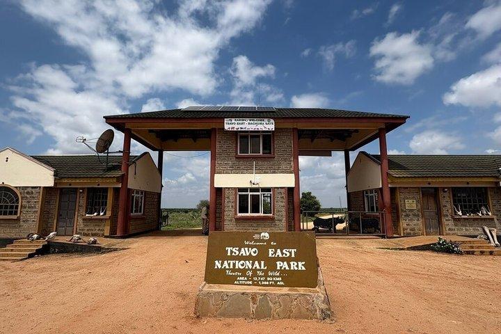 Tsavo East Big Five Safari from Diani and Mombasa Full Day 4x4
