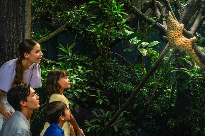 Night Safari Singapore Tickets with Tram Ride Experience