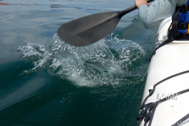 Kayak to Goat Island in Sydney Harbour with Local