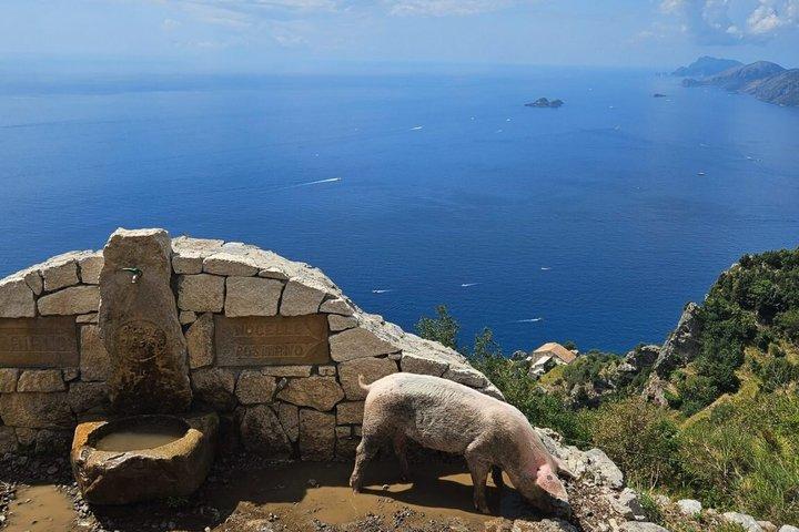 Path of the Gods Hiking Tour from Sorrento Amalfi Coast Views