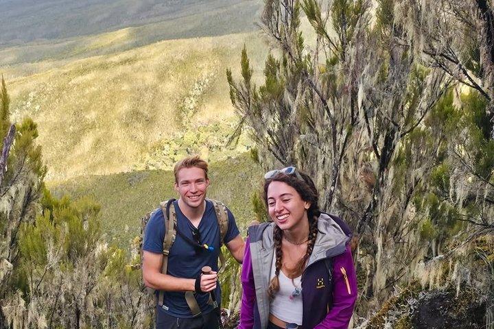 Kilimanjaro day hike tour marangu route