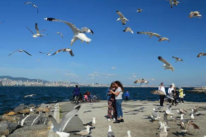 Istanbul Round-Trip Ferry Tickets to the Princes' Islands