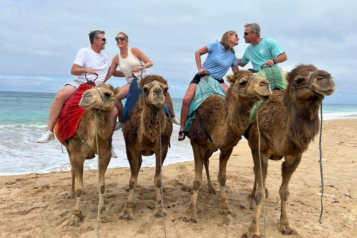 Best of Tangier Tour with Camel Ride – Cruise Excursion