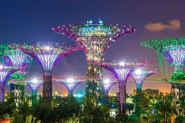 Singapore Gardens by the Bay Flower Dome Cloud Forest