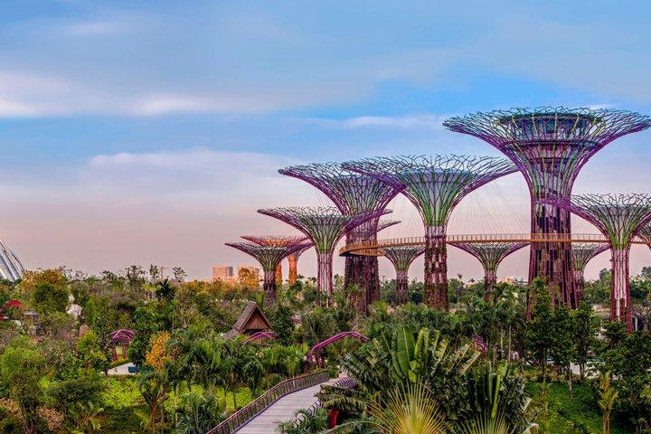 Singapore Gardens by the Bay Flower Dome Cloud Forest