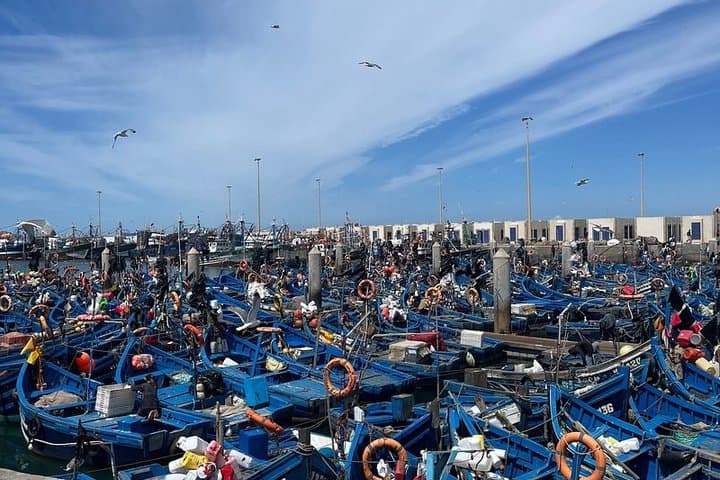 From Marrakech To Essaouira Mogador Full Day Trip