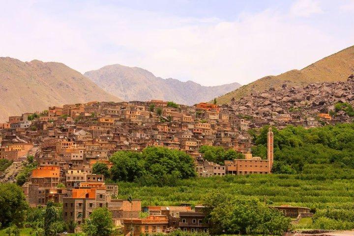 Ourika Valley, Waterfalls, Atlas Mountains & Lunch