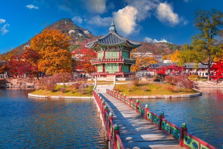 Best of Seoul Private Tour