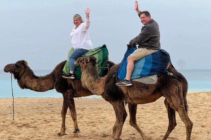 Best of Tangier Tour with Camel Ride – Cruise Excursion