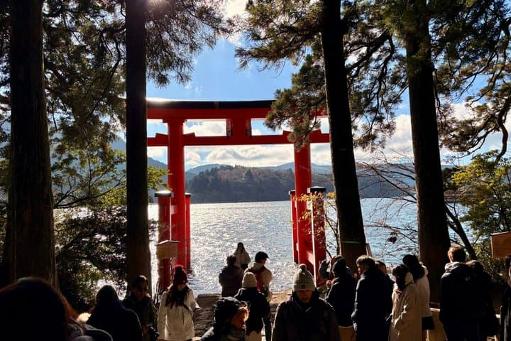 Hakone Day Tour from Tokyo by Car with Onsen Experience