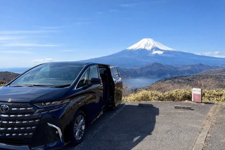 Hakone Day Tour from Tokyo by Car with Onsen Experience