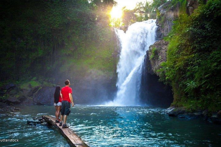 Best of Ubud: Waterfall, Rice Terrace, Monkey Forest & Temple