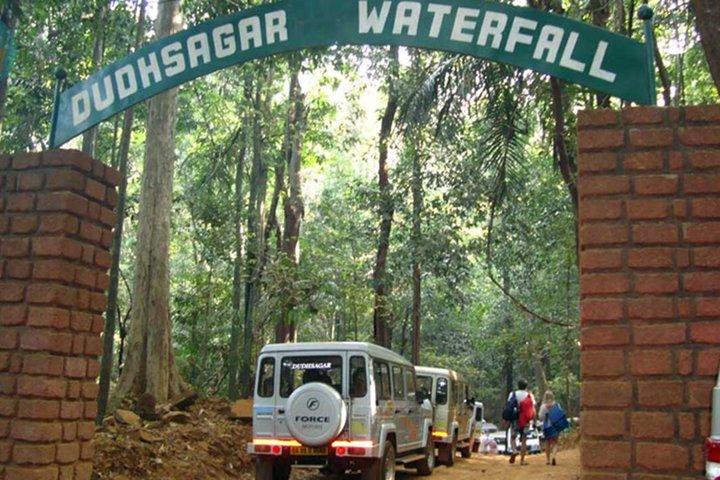 Dudhsagar Waterfalls Tour Jeep Safari and Spice Plantation Visit