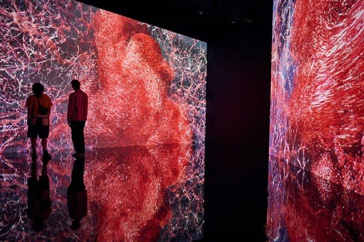 Singapore ArtScience Museum Admission E-Ticket