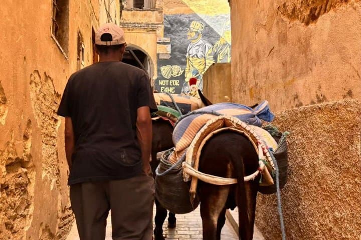 Private Fes Medina Walking Tour with Local Guide and Hidden Gems
