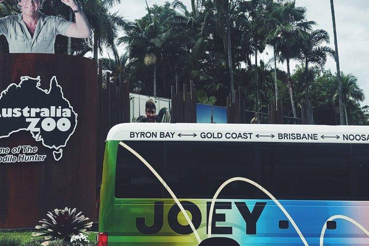 Australia Zoo Day Trip from Noosa Entry Ticket Included
