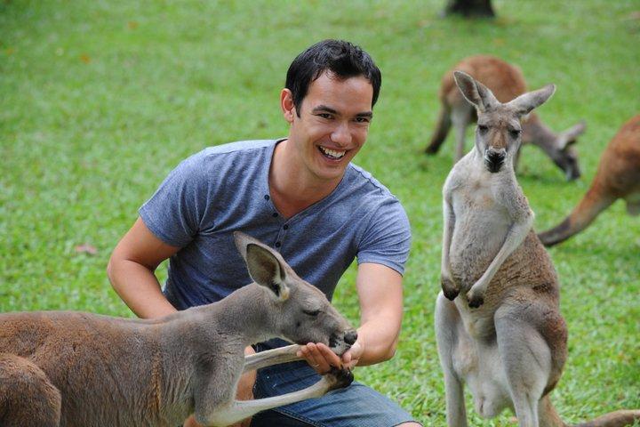 Australia Zoo Day Trip from Noosa Entry Ticket Included