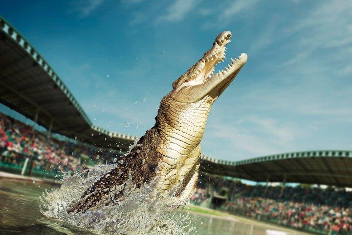 Australia Zoo Day Trip from Noosa Entry Ticket Included