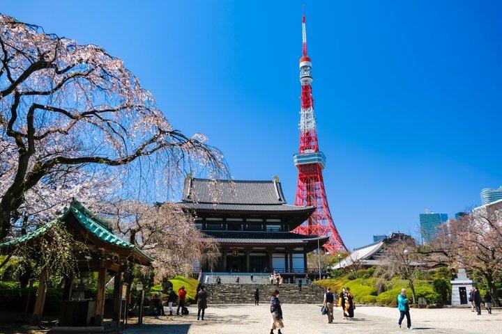 Tokyo Temples & Shrines Tour: Meiji Shrine, Asakusa & Zojoji
