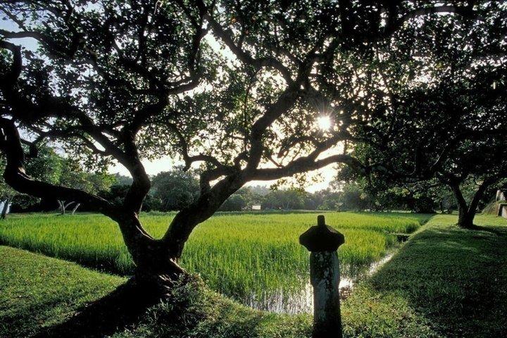 From Bentota/Beruwala:All-Inclusive Lunuganga & Brief Garden Tour