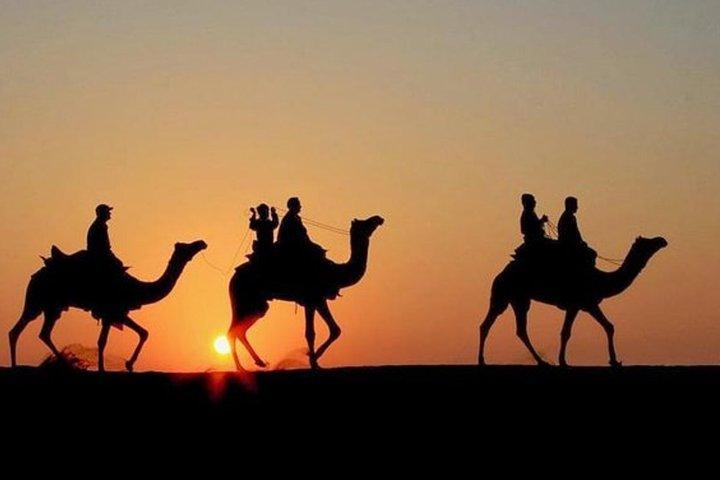 Desert Agafay Marrakech: Quad & Camel Ride, Sunset, Dinner & Show