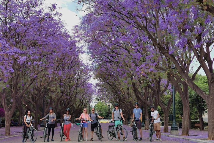 Athens Scenic Electric Bike Tour with optional Acropolis visit