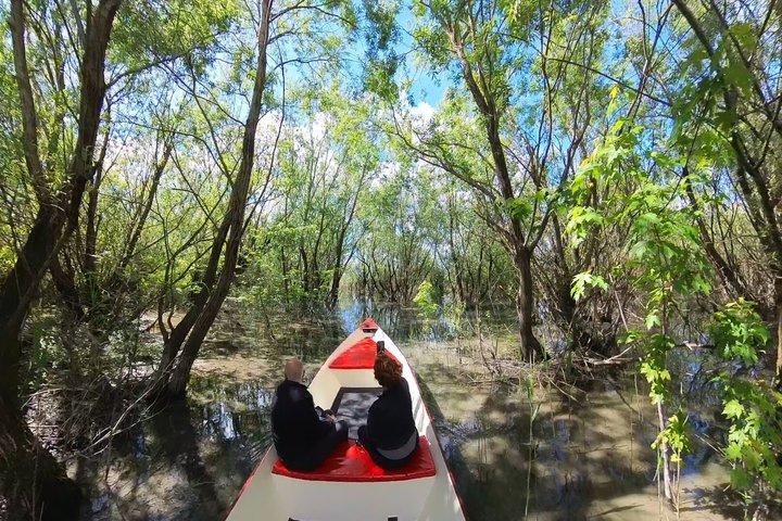 2 hour Guided Amazon Boat Tour