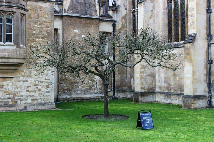 Bridges and Brilliance Cambridge UK Self Guided Tour with App