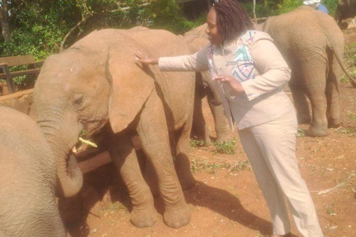 Beyond Boundaries Tours and Transfers