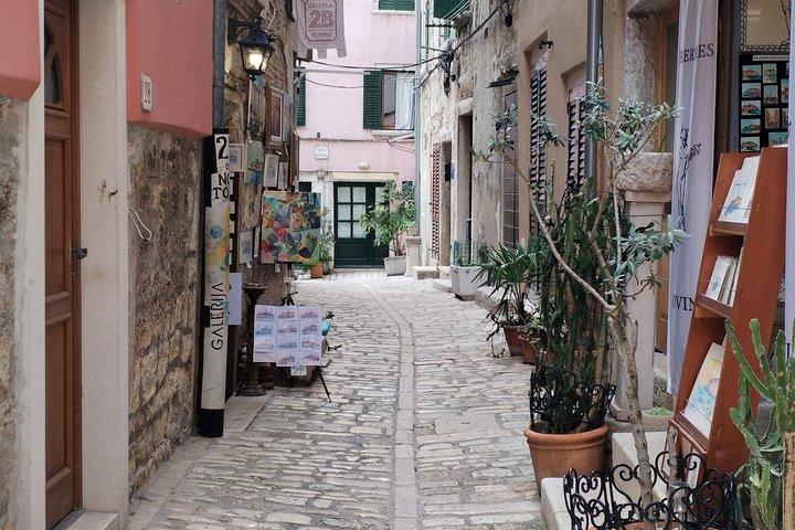 Adriatic Panoramic Escape Istria and Rovinj from Trieste