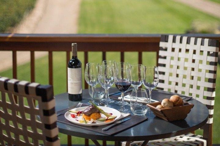 Full Day Private Guided Tour of Vinicolas de Mendoza