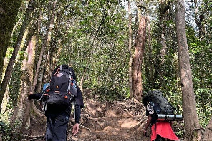 Salalah Nature Ride From Green Coconut Groves to Ocean Breeze