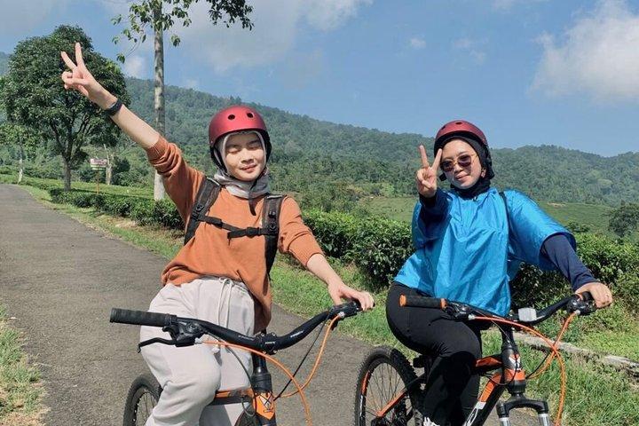 Salalah Nature Ride From Green Coconut Groves to Ocean Breeze