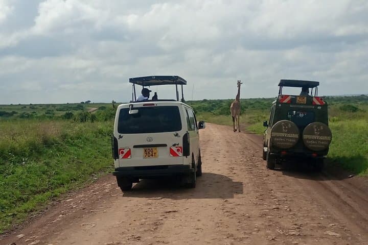Nairobi National Park Day Safari With Dinner Option